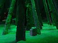 Zen Garden at night, reconstructing the bark